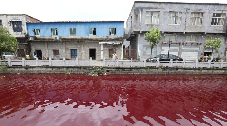 温州内河河水一夜变血水   环境资源审判庭职责(图)插图